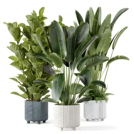 Indoor planters in cecilia ficonstone pot